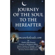 Journey of the Soul to the Hereafter by Sheikh Alla Elsayed Reviewed by Sheikh Abdallah Idris Ali (ISNA CANADA)      